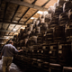 Osborn points to the thousands of wooden casks of aging Tabasco mash.